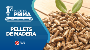 Pellets de Madera | Materia Prima | 21 agosto 2026