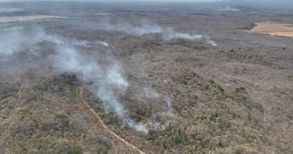 SINAC registra 85 incendios forestales este año