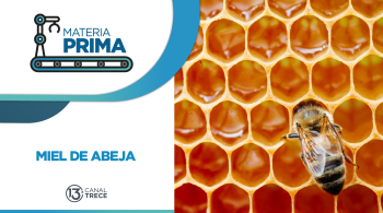 Miel de Abeja | Materia Prima | 13 febrero 2026