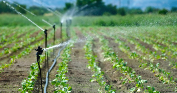 Inversión millonaria en cuatro proyectos asegurará agua a productores rurales 