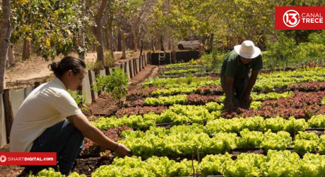 Agricultura Orgánica para todos | Documentales UNED 