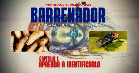 Reportaje especial, Barrenador: El Gusano del Nuevo Mundo, Capítulo 1