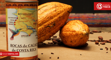 El cacao | Dominio Documental