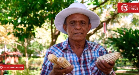 Campesinos ticos | Dominio documental 