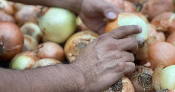 Cebolla bajó ₡330 colones para este fin de semana 