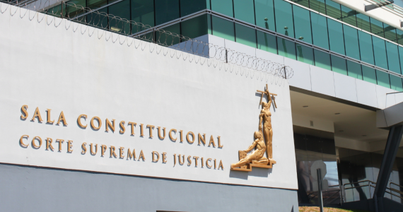 La Sala Constitucional declara inconstitucionales cuatro artículos de la Ley Jaguar
