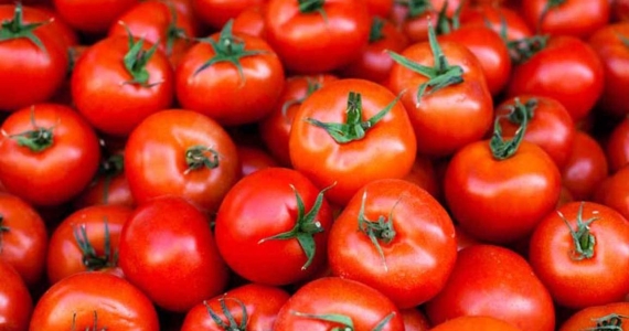 Suben precios de viajes, cebolla y tomate en junio
