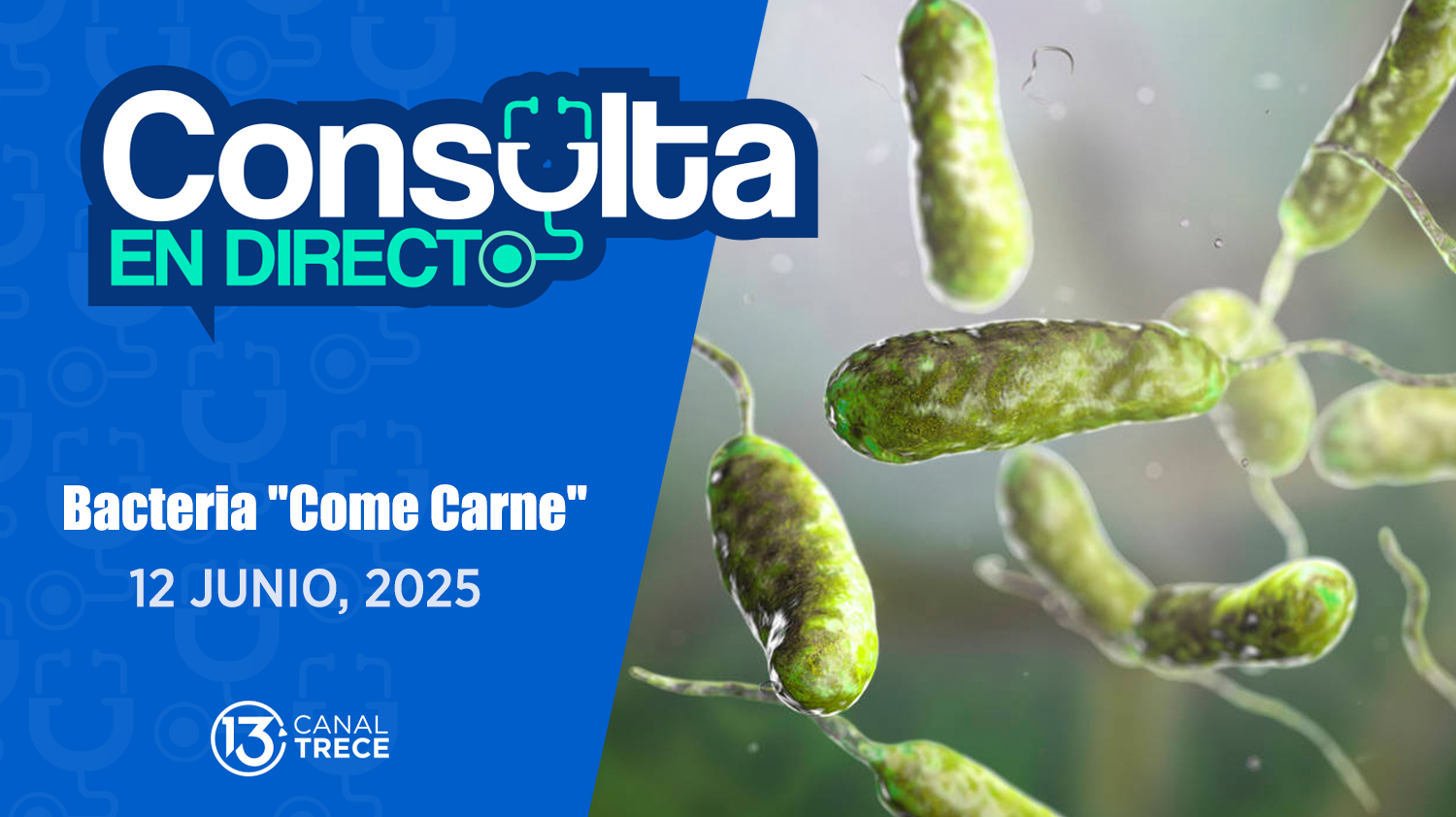  Consulta en Directo: Bacteria Come Carne
