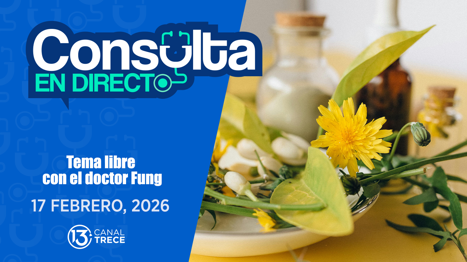 Consulta en Directo | 17 Febrero 2026 