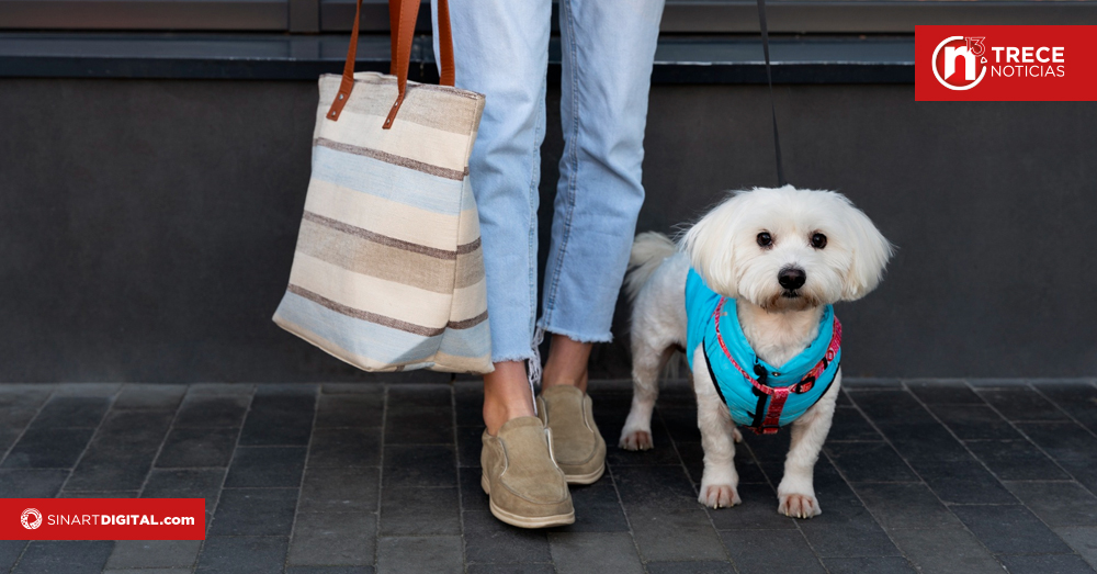 Salud emite orden sanitaria a centro comercial de Escazú tras mordedura de perro a menor