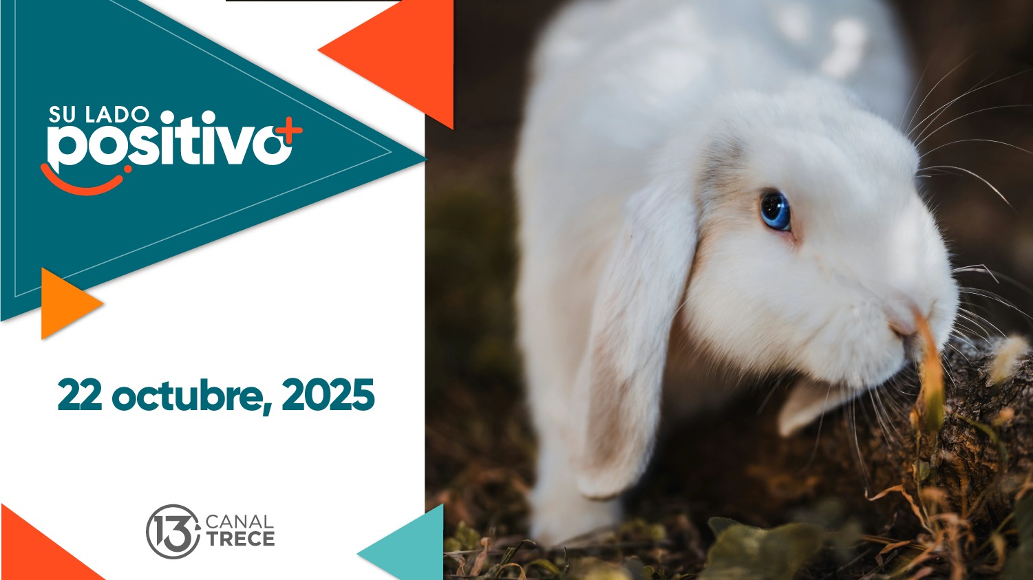 Su Lado Positivo | 22 octubre 2025