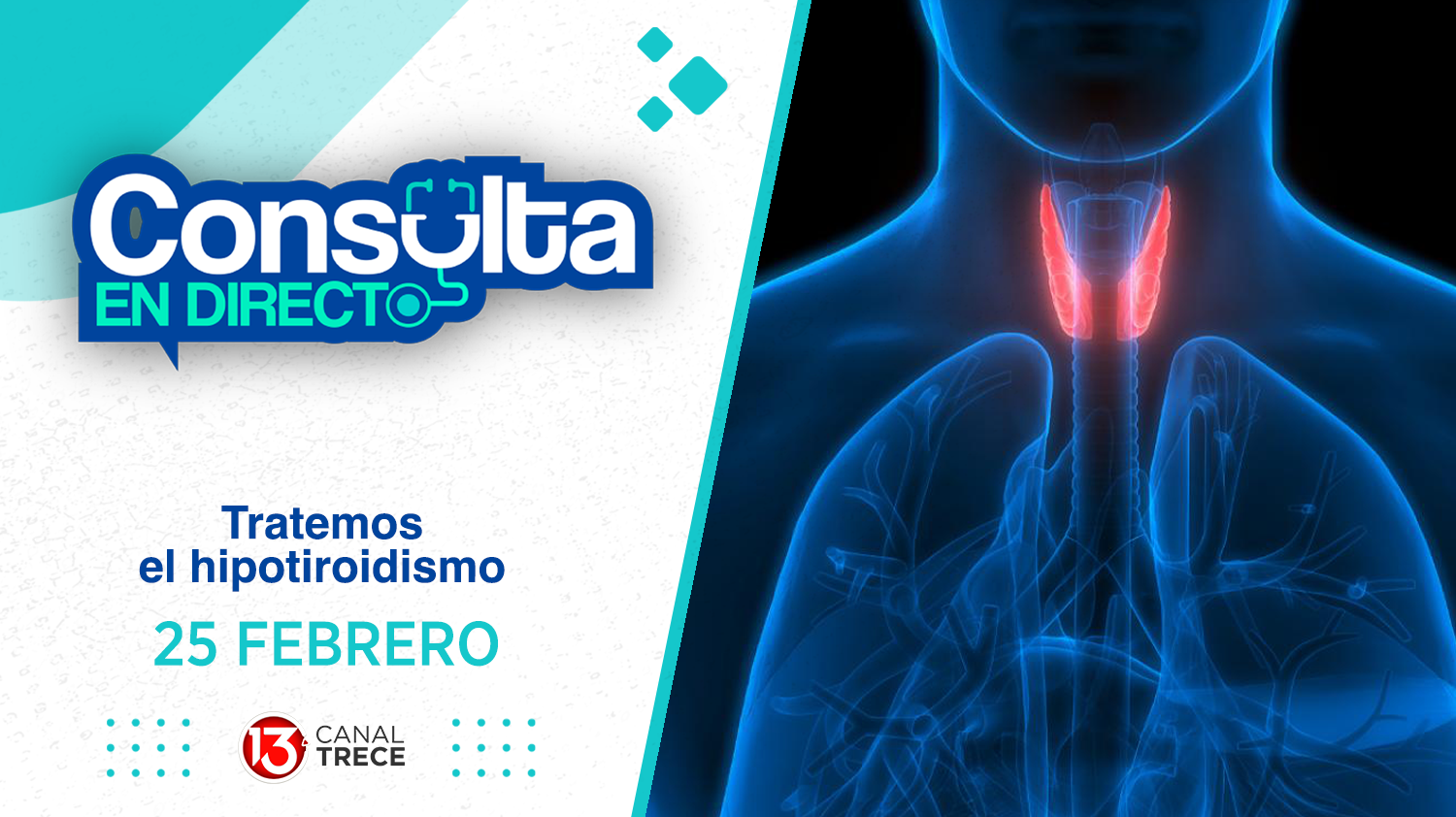 Hipotiroidismo - Consulta en Directo | 25 Febrero 2025