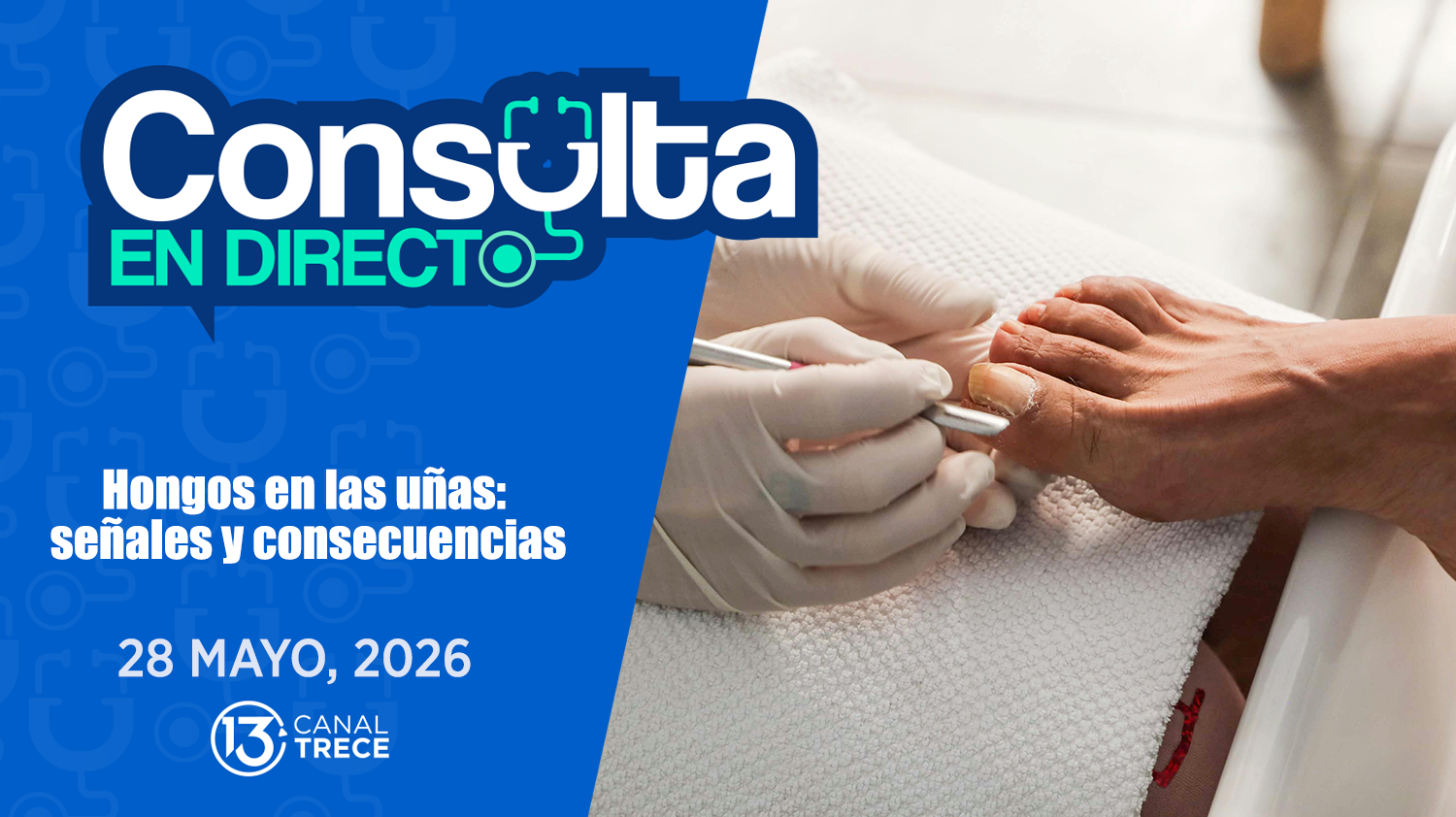 Consulta en Directo | 28 mayo 2026 