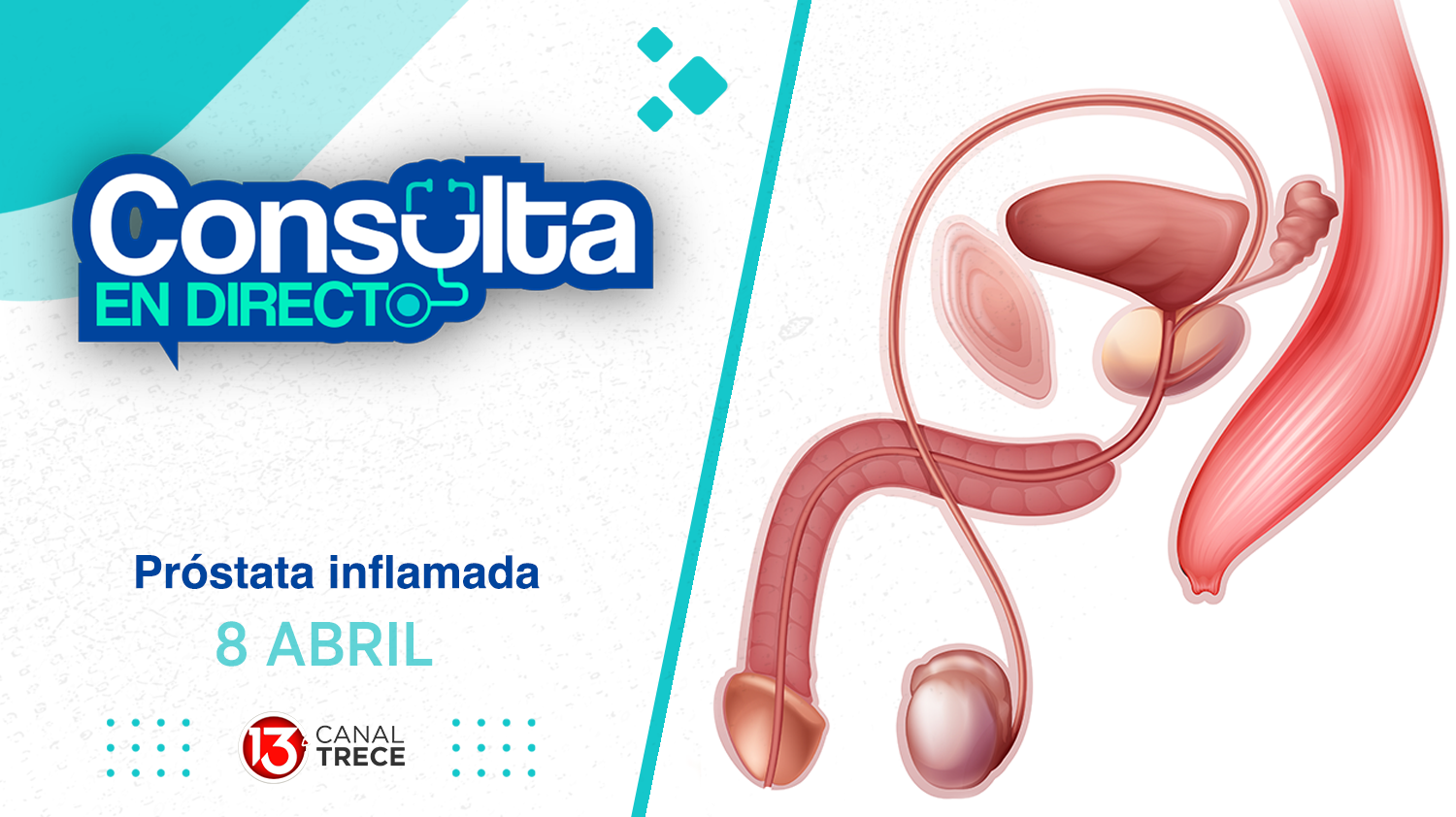  Consulta en Directo | 8 Abril 2025 