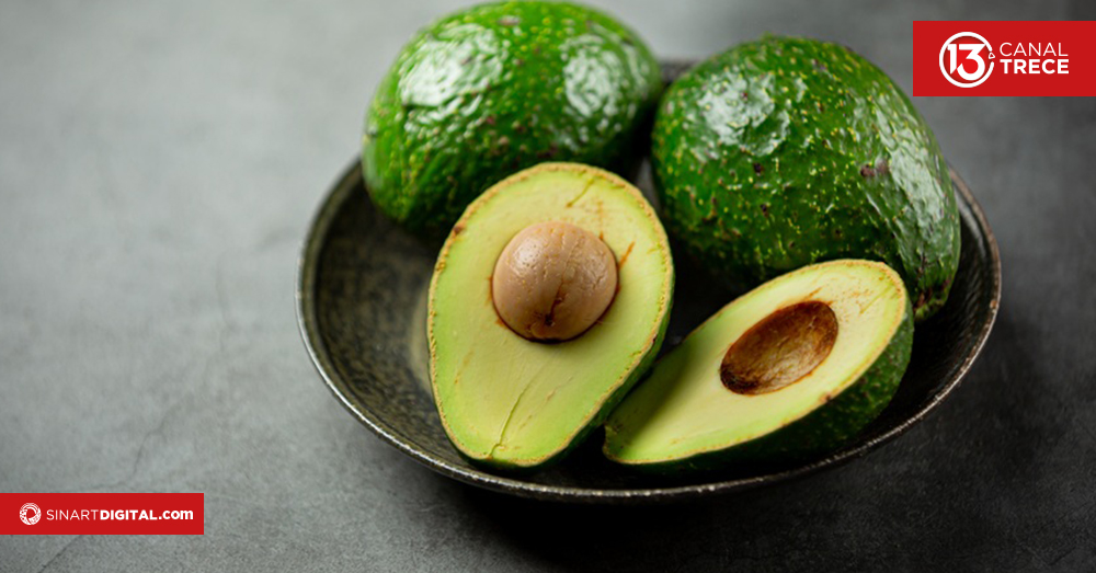 Así estará la Feria del Aguacate en Esparza 