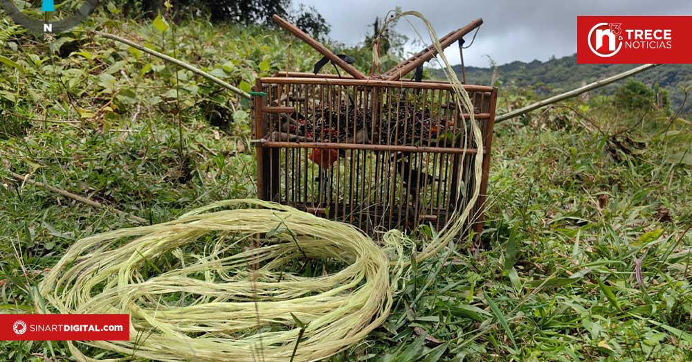 Detienen in fraganti a cazador de aves silvestres