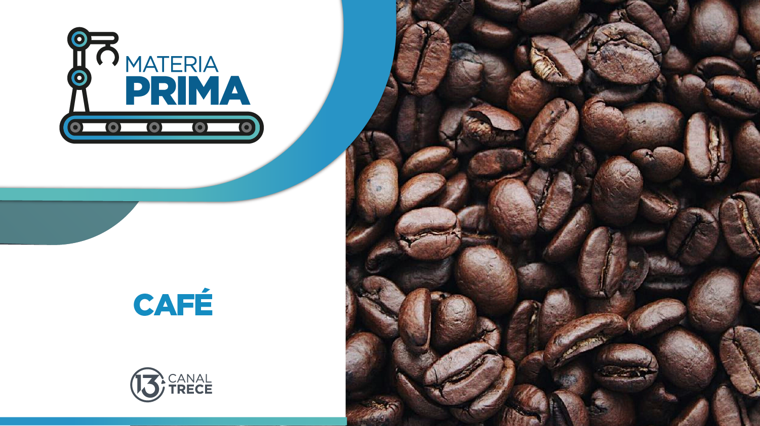 Proceso del Café | Materia Prima | 16 mayo 2025