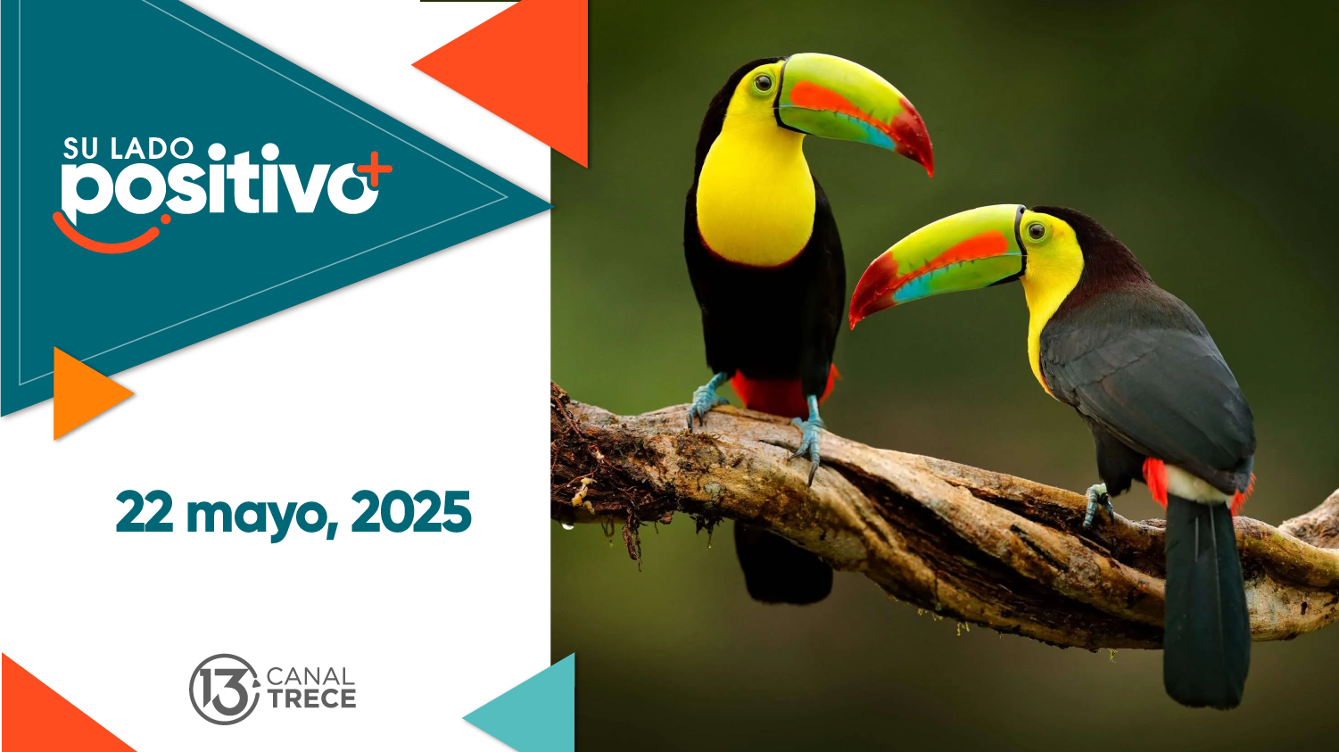 Su Lado Positivo | 22 mayo 2025 