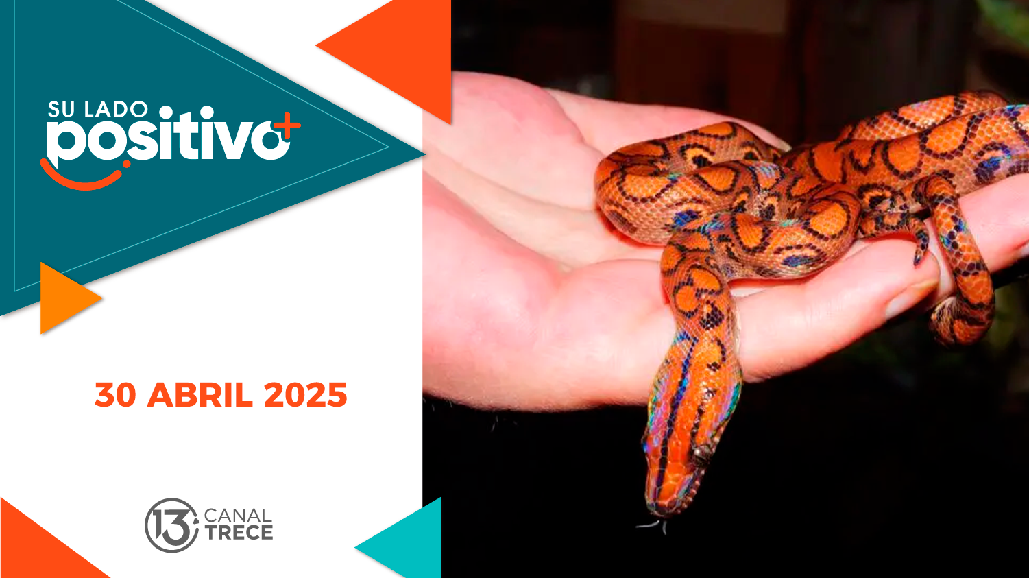 Su Lado Positivo 30 Abril 2025 | Programa completo