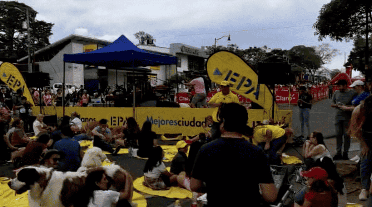 Perros se relajaron hoy durante primer concierto dirigido a ellos