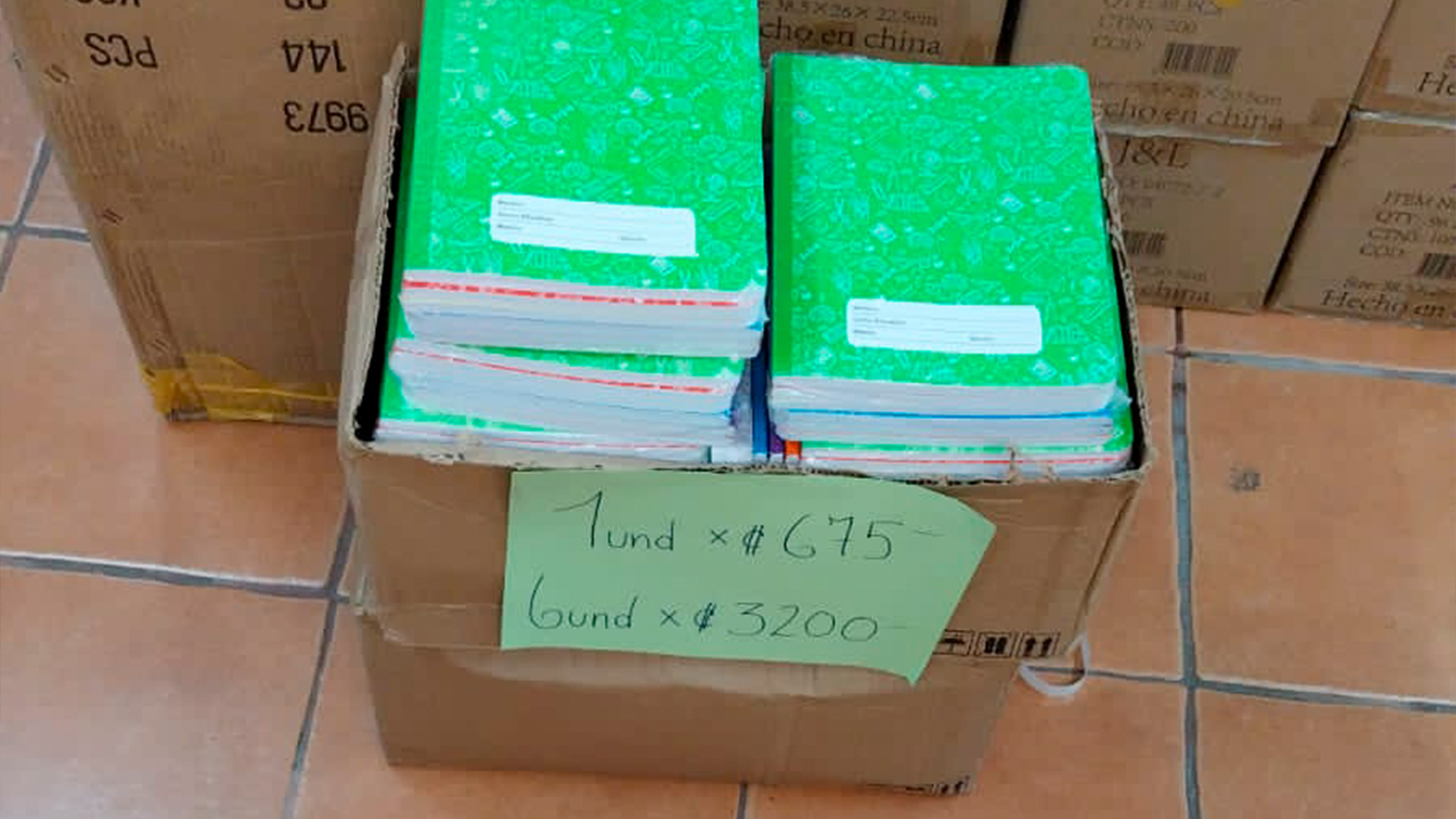La Fuerza Pública decomisó 954 cuadernos que habían sido robados al IMAS en el 2023