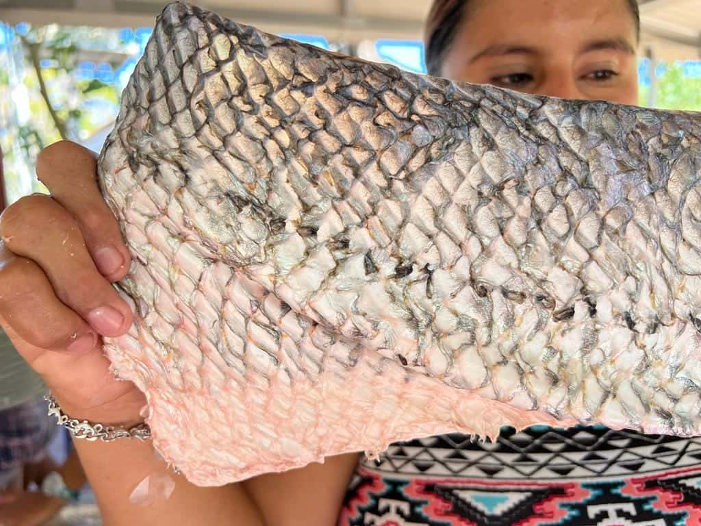 Mujeres puntarenenses sorprenden innovando con cuero de pescado