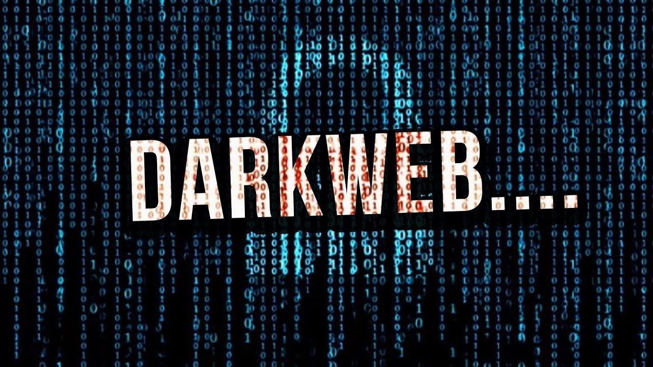 Dark web es el destino de miles de datos robados 