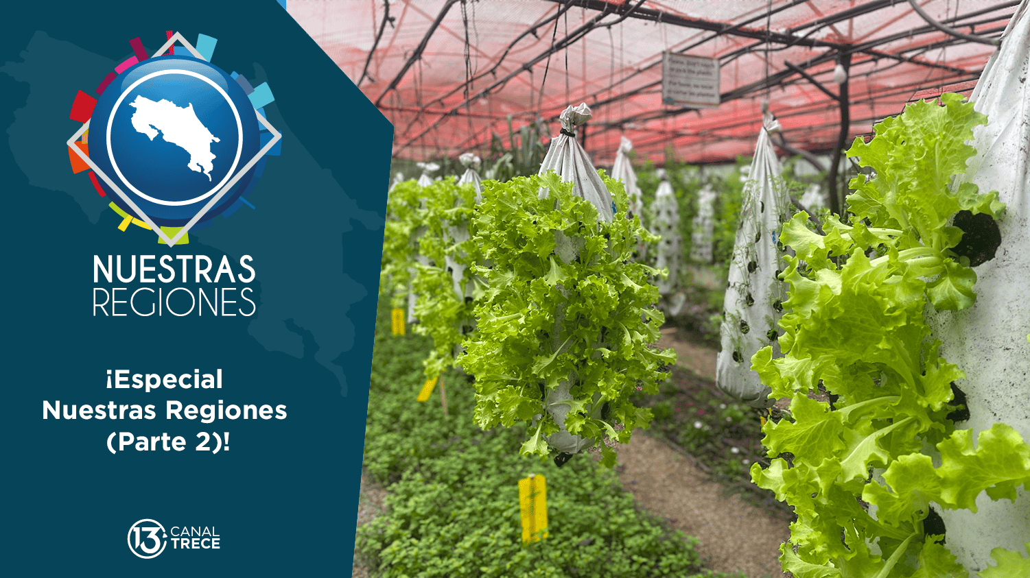 Nuestras Regiones: Especial | Segunda Parte.