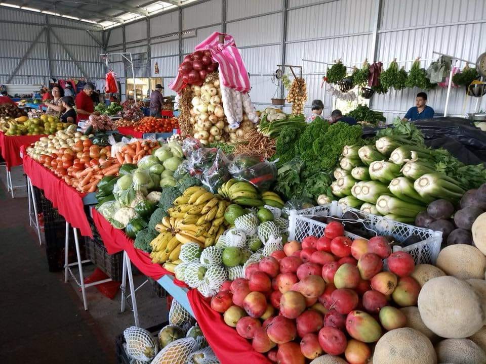  Aliste las bolsas reutilizables para ir a la feria este fin de semana 