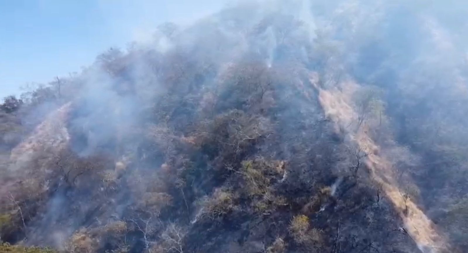 Nuevo incendio forestal quemó 10 hectáreas de bosque en Guanacaste