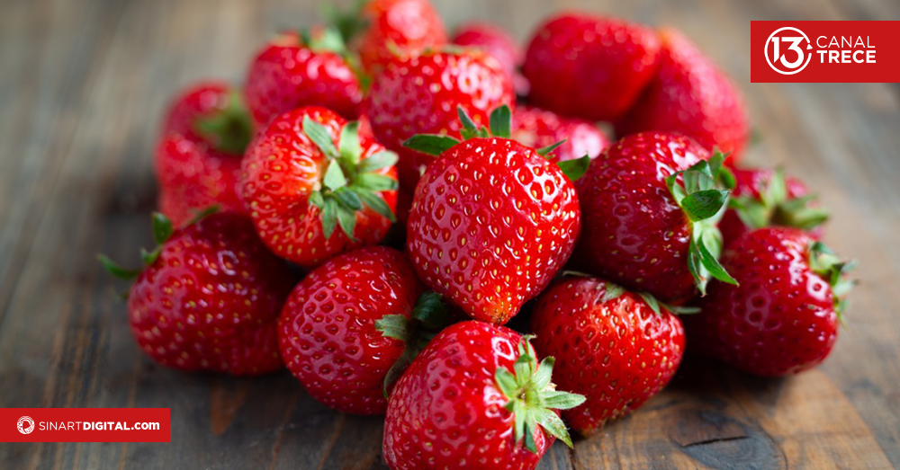 Fiesta de Agricultura en el INA 