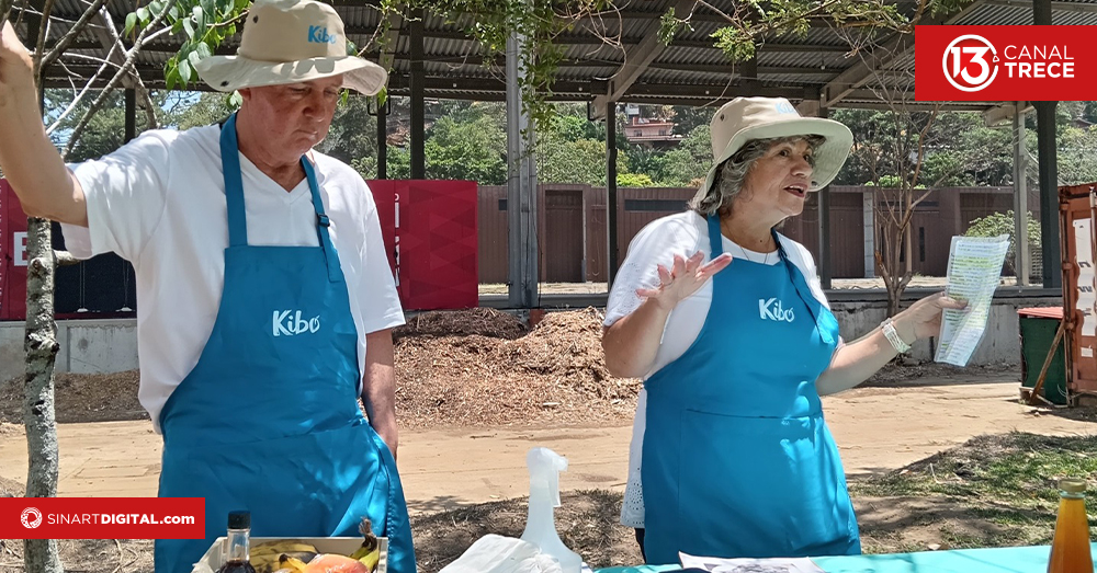 Capacitan familias para hacer huertas caseras 