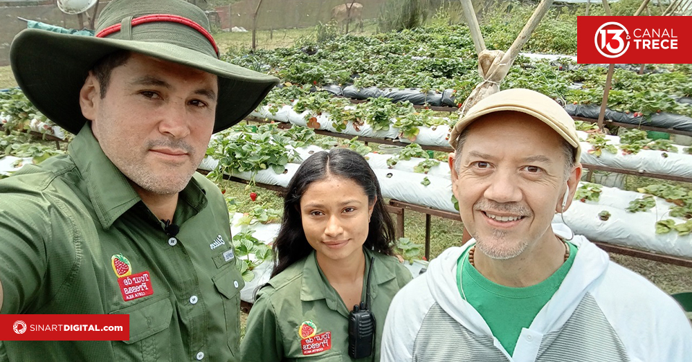 Aprenda y diviértase en el Tour de Fresas Costa Rica 