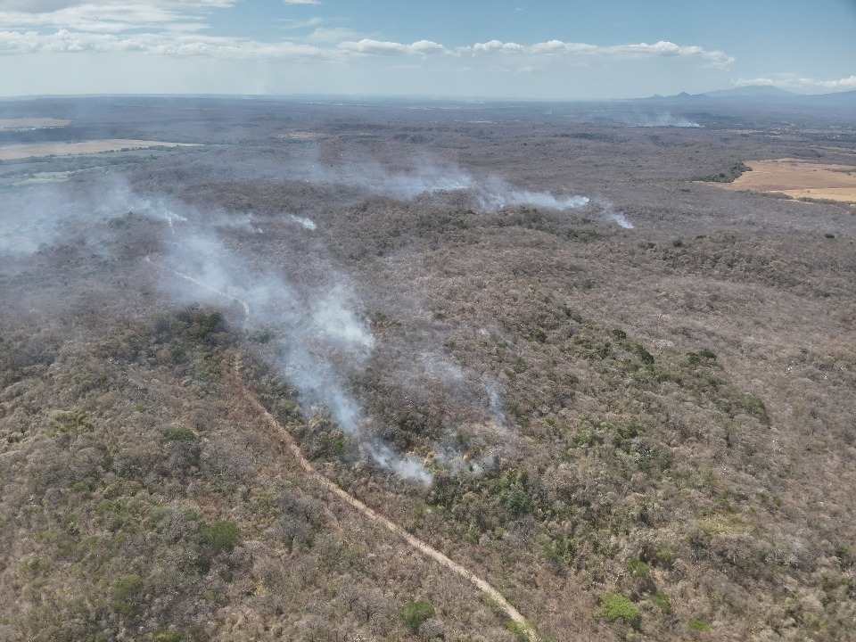 SINAC registra 85 incendios forestales este año