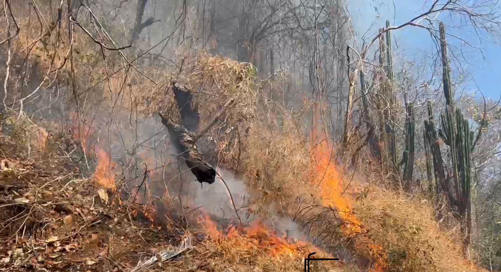 Cuerpo de Bomberos atiende incendios forestales en Abangares y Santa Cruz