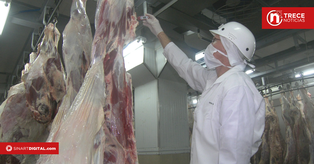 México audita plantas exportadoras de carne bovina en Costa Rica
