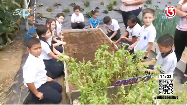 Escuela tiene su propio Pavo Real 