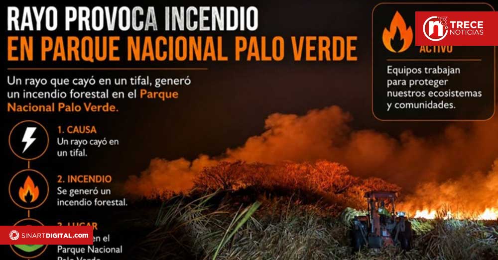 Palo Verde se incendia y bomberos advierten a la población