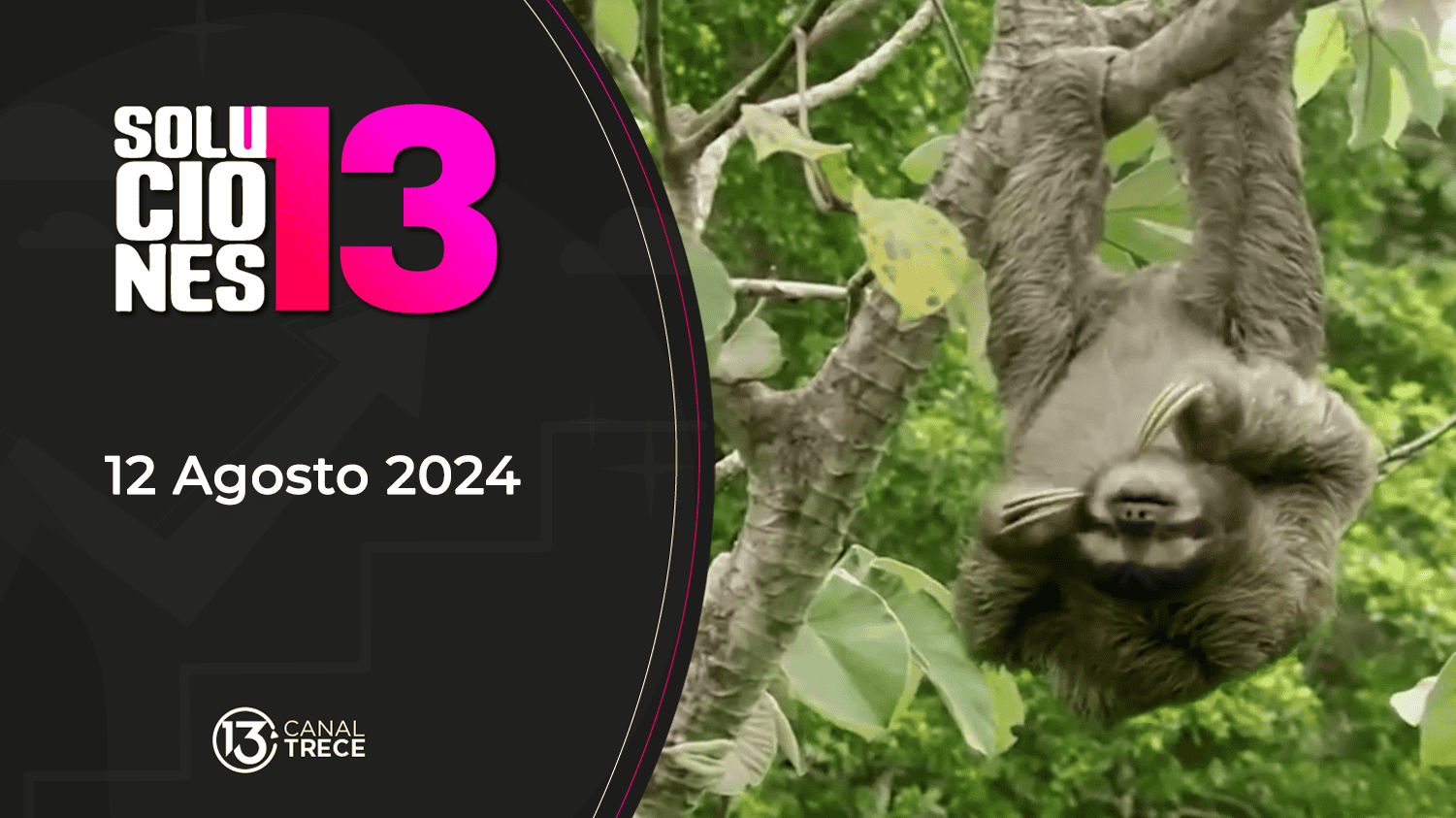 Soluciones del 13 | 12 Agosto 2024