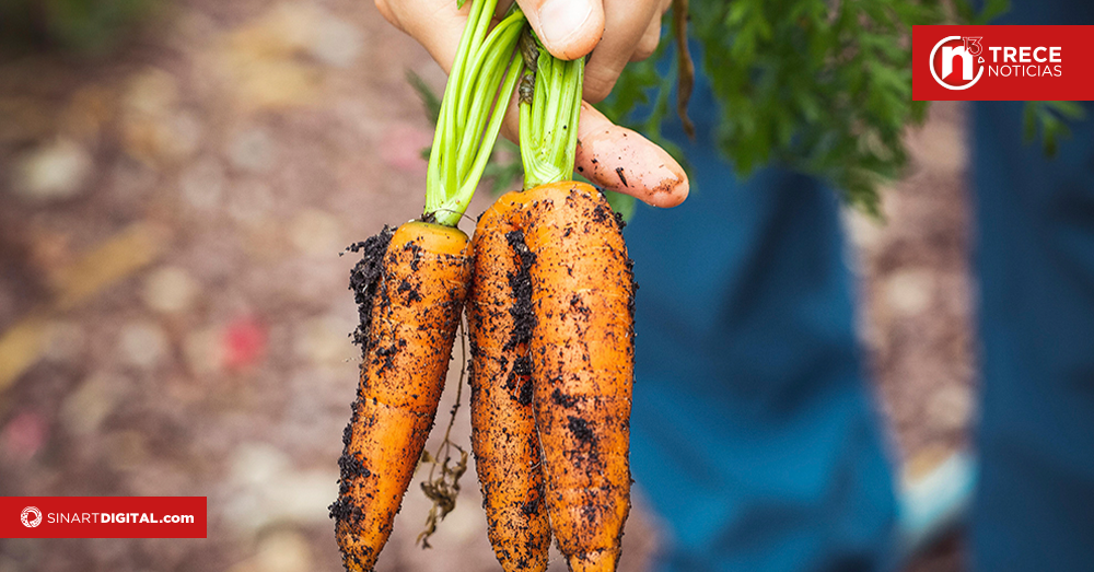 MAG logró registrar disminución de precio en insumos agrícolas
