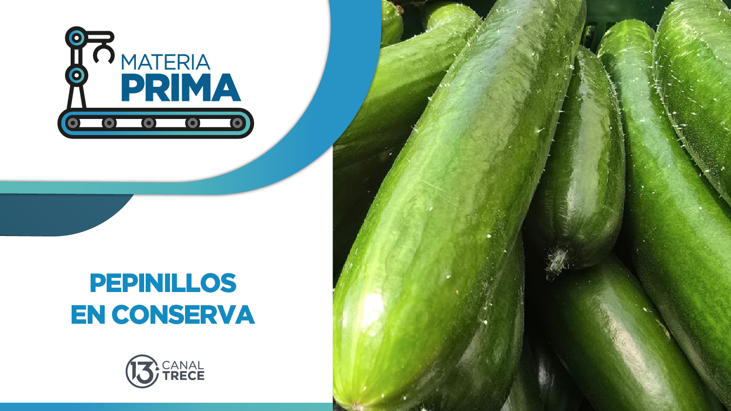 Pepinillos en conserva | Materia Prima | 15 mayo 2026 Pepinillos en conserva | Materia Prima | 15 mayo 2026