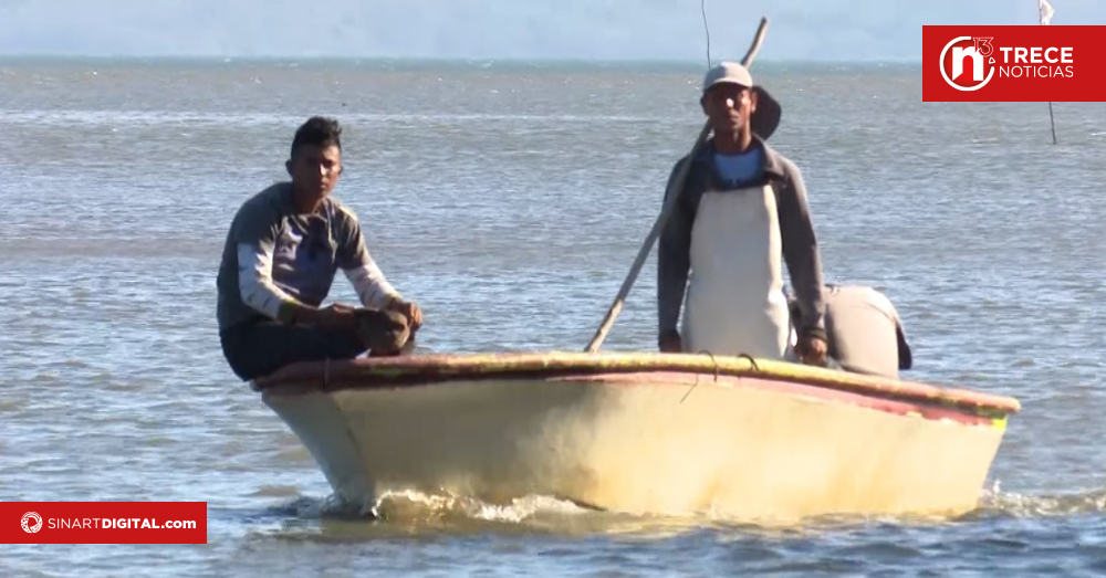  Iniciativa de ley pretende cambiar forma de cotizar a la CCSS para trabajadores independientes