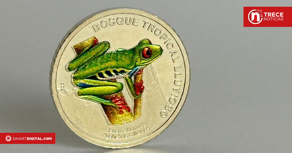 BCR venderá 3 000 monedas de colección de ¢50 con imagen de la rana calzonuda