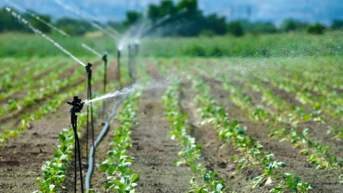 Inversión millonaria en cuatro proyectos asegurará agua a productores rurales 