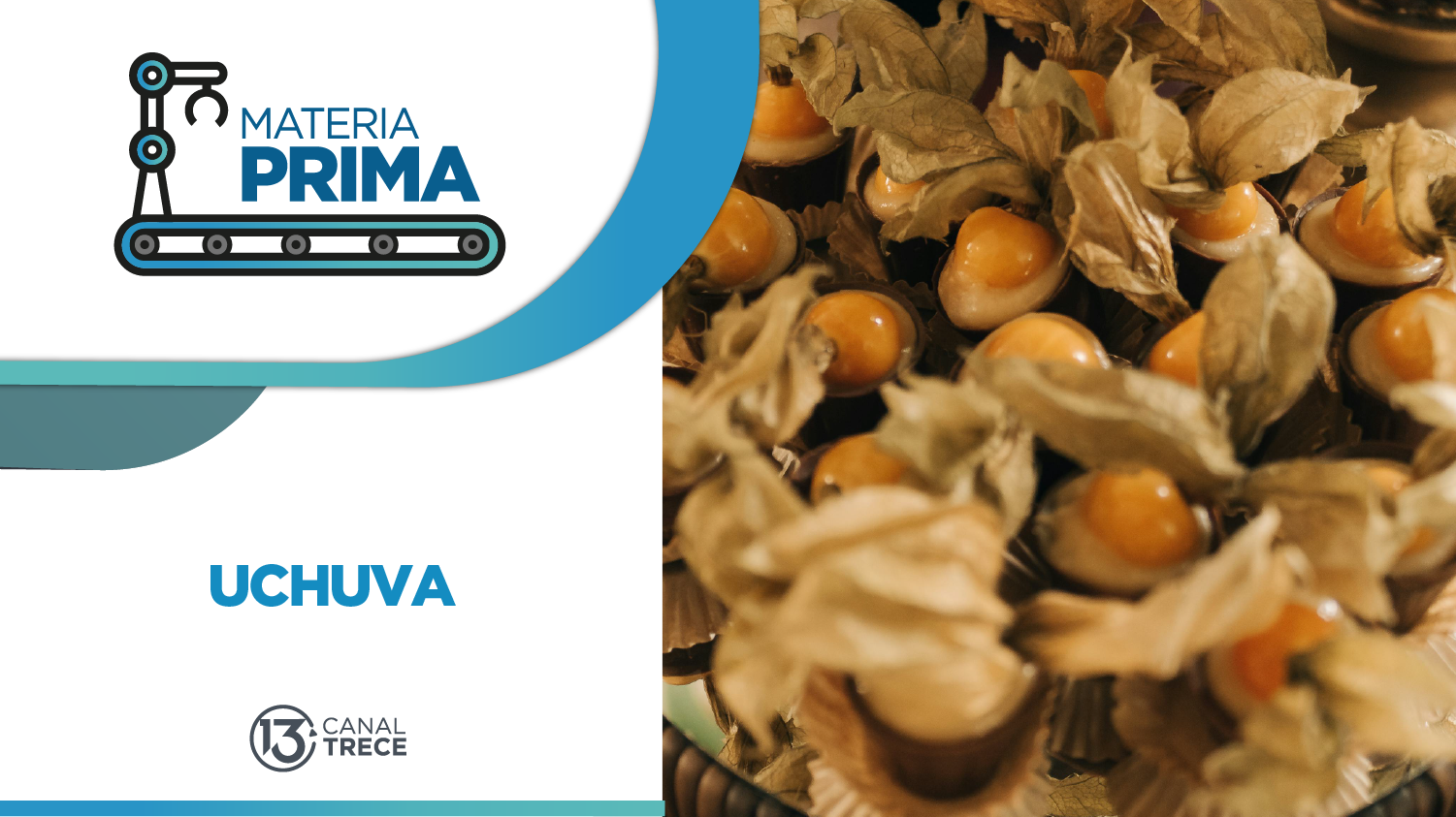 Licor de Uchuva | Materia Prima | 23 mayo 2025