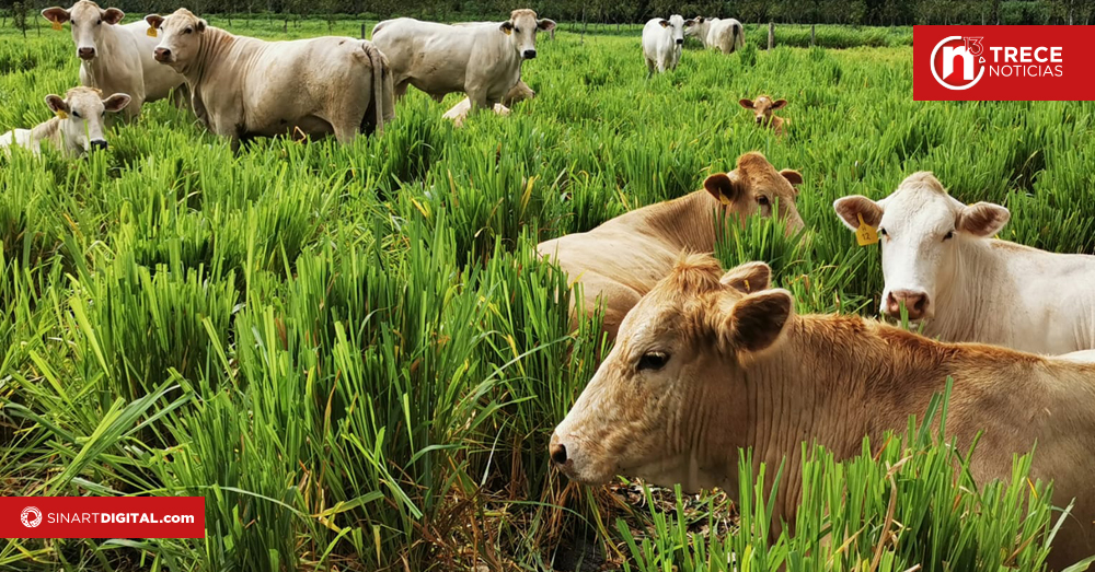Banco Mundial promueve iniciativas de reducción de emisiones 