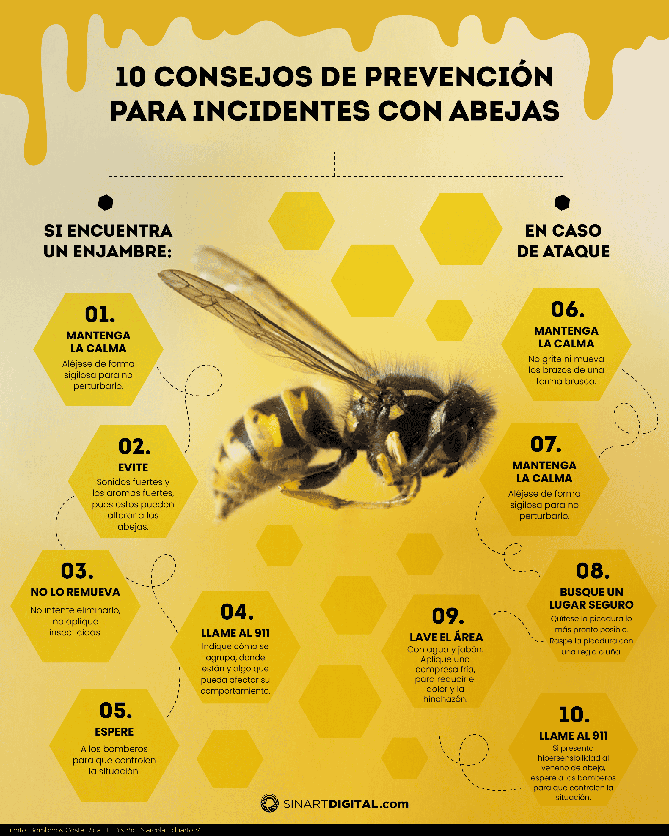 10 Consejos de prevencion para incidentes con abejas