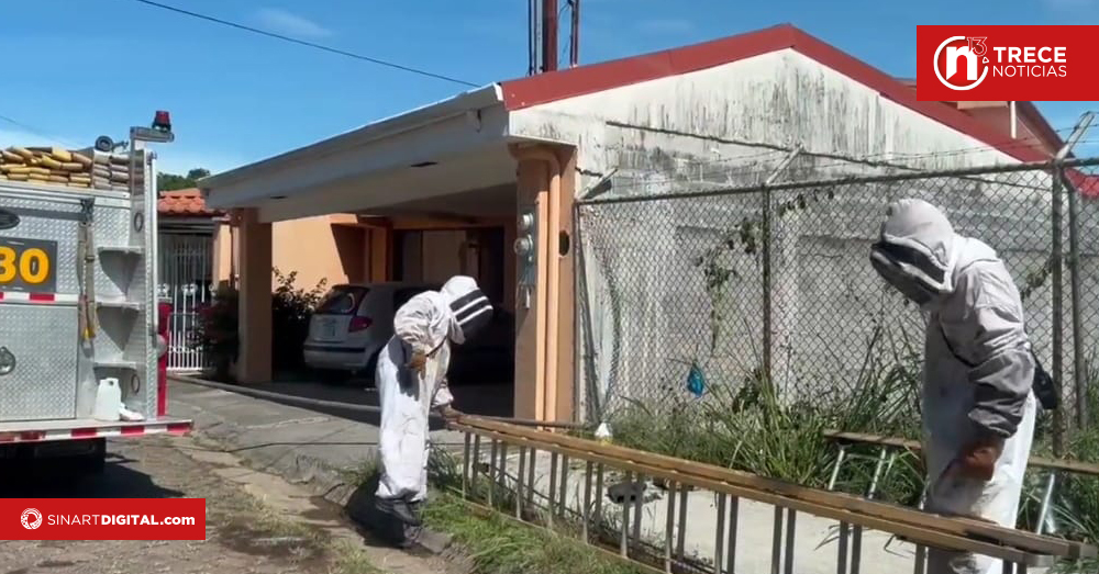 Ataque de abejas deja un hombre en condición crítica en residencial de Belén