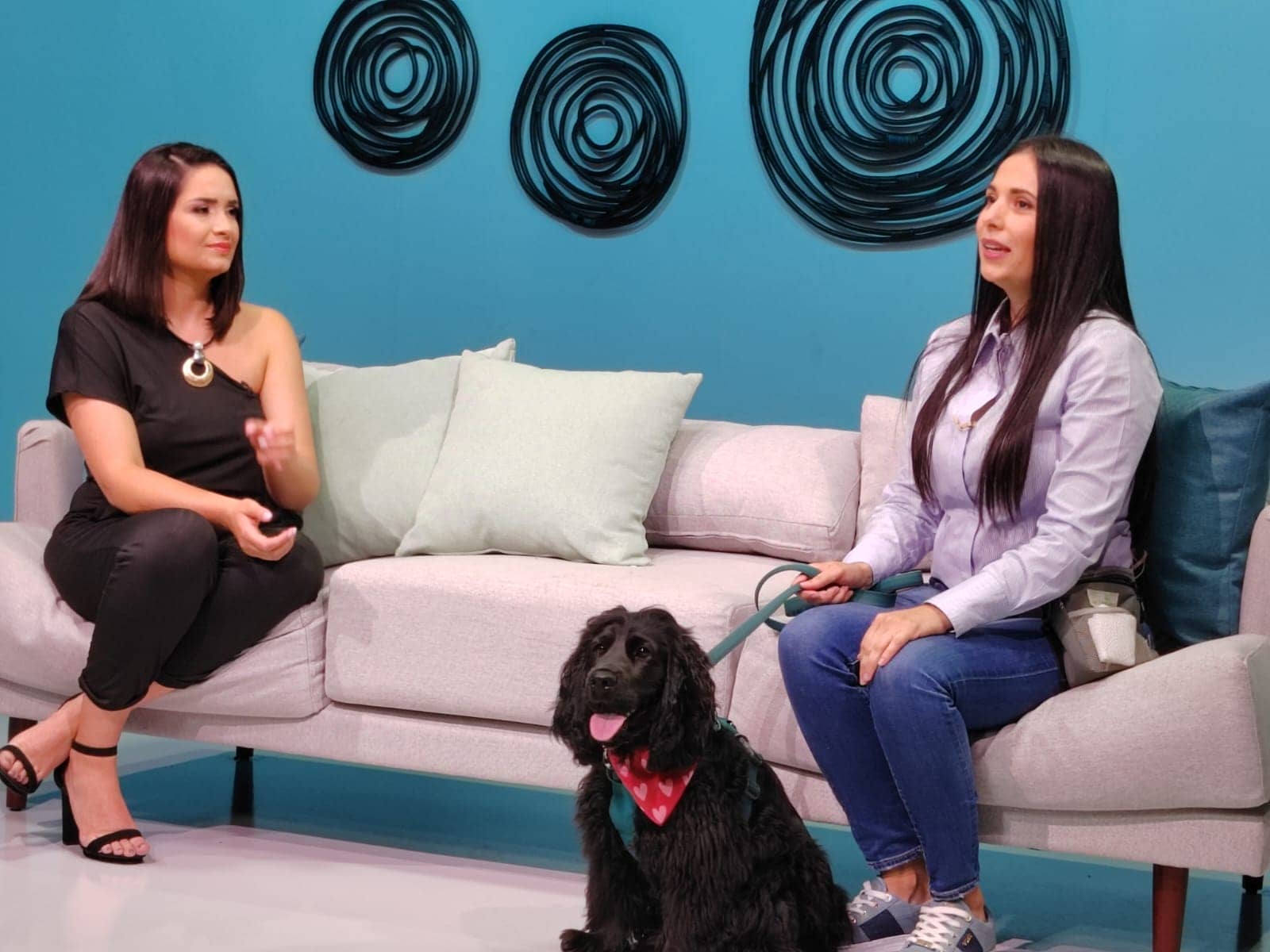 Adiestramiento de mascotas 