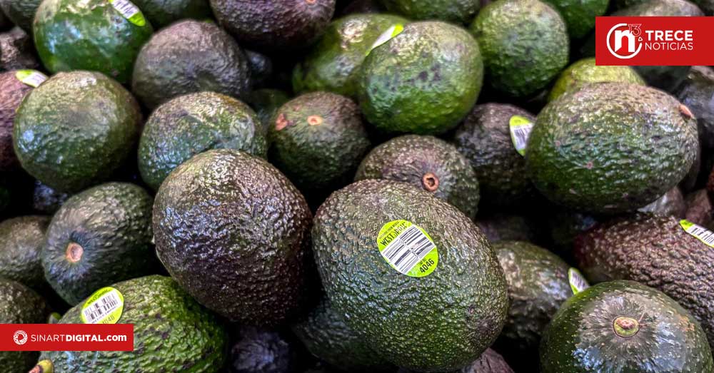 Estados Unidos reanuda las importaciones de aguacate mexicano tras alerta de seguridad